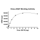 Kras Q61R–cRAF Binding Assay Kit